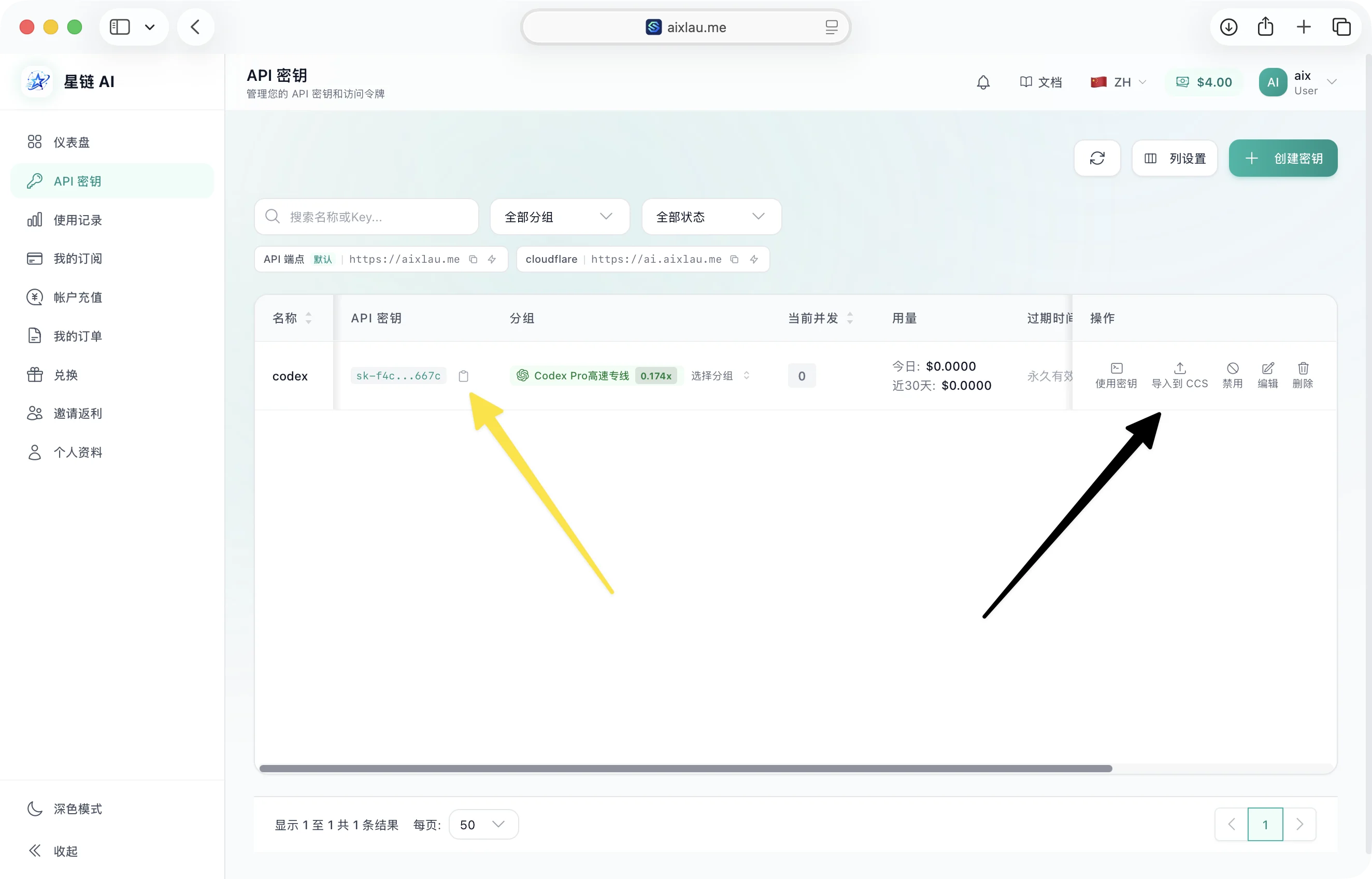 复制 API Key 或尝试导入到 CC Switch